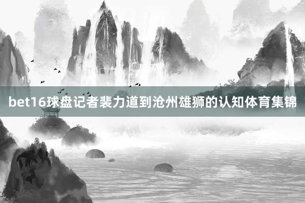 bet16球盘记者裴力道到沧州雄狮的认知体育集锦