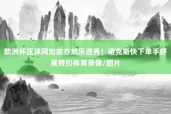 欧洲杯压球网如故亦然乐透秀！诺克斯快下单手舒展劈扣体育录像/图片