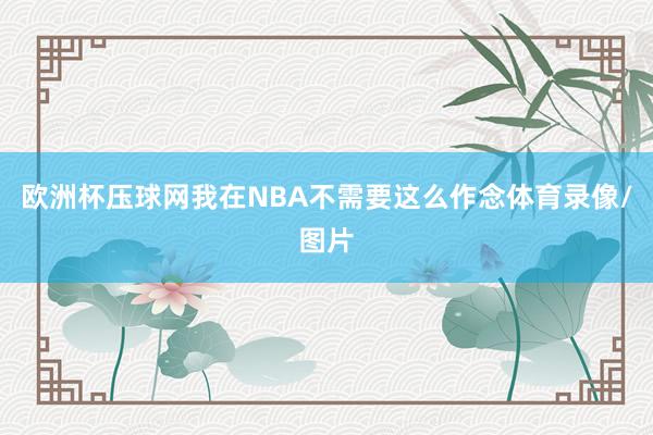 欧洲杯压球网我在NBA不需要这么作念体育录像/图片