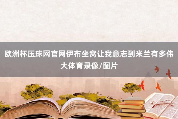 欧洲杯压球网官网伊布坐窝让我意志到米兰有多伟大体育录像/图片