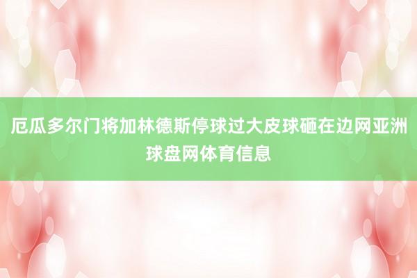 厄瓜多尔门将加林德斯停球过大皮球砸在边网亚洲球盘网体育信息