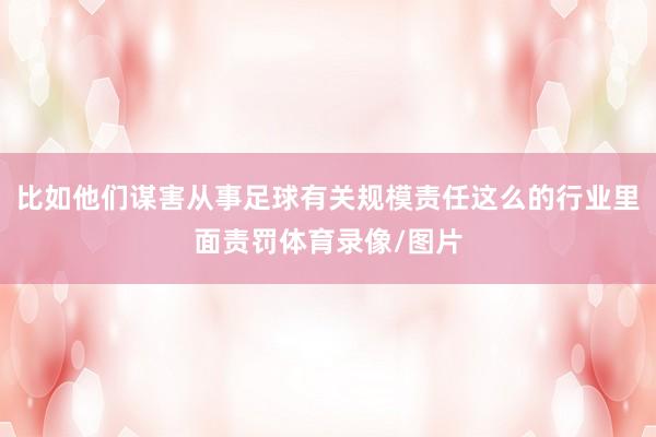 比如他们谋害从事足球有关规模责任这么的行业里面责罚体育录像/图片