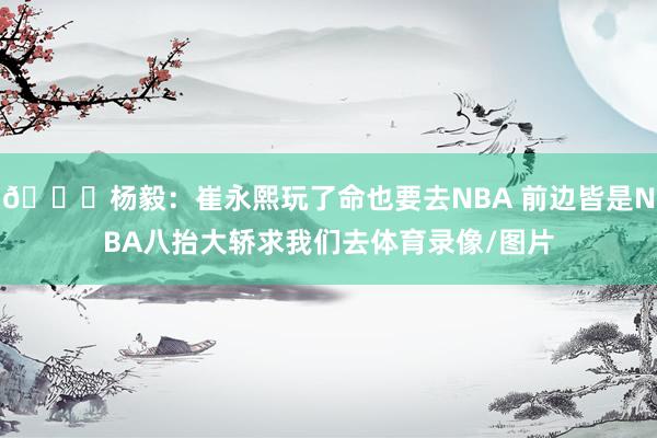 😉杨毅：崔永熙玩了命也要去NBA 前边皆是NBA八抬大轿求我们去体育录像/图片